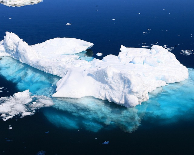 antarctic